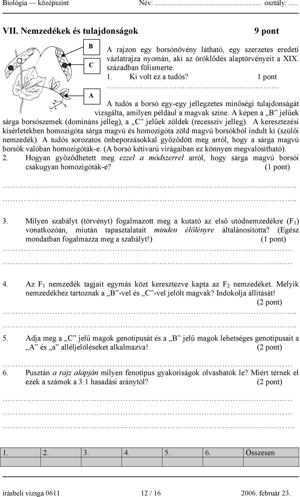 A képen a B jelűek sárga borsószemek (domináns jelleg), a C jelűek zöldek (recesszív jelleg).