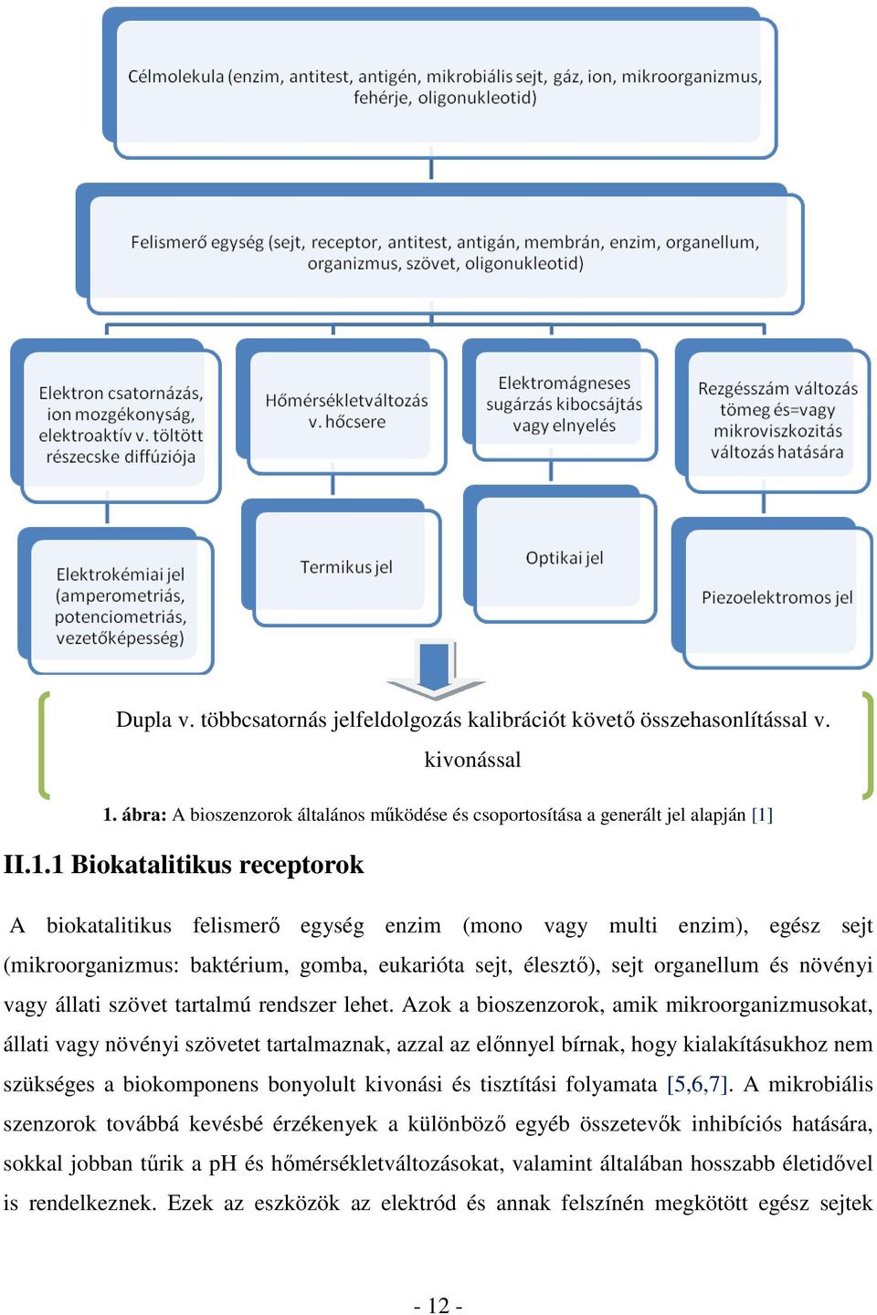 II.1.1 Biokatalitikus receptorok A biokatalitikus felismerő egység enzim (mono vagy multi enzim), egész sejt (mikroorganizmus: baktérium, gomba, eukarióta sejt, élesztő), sejt organellum és növényi