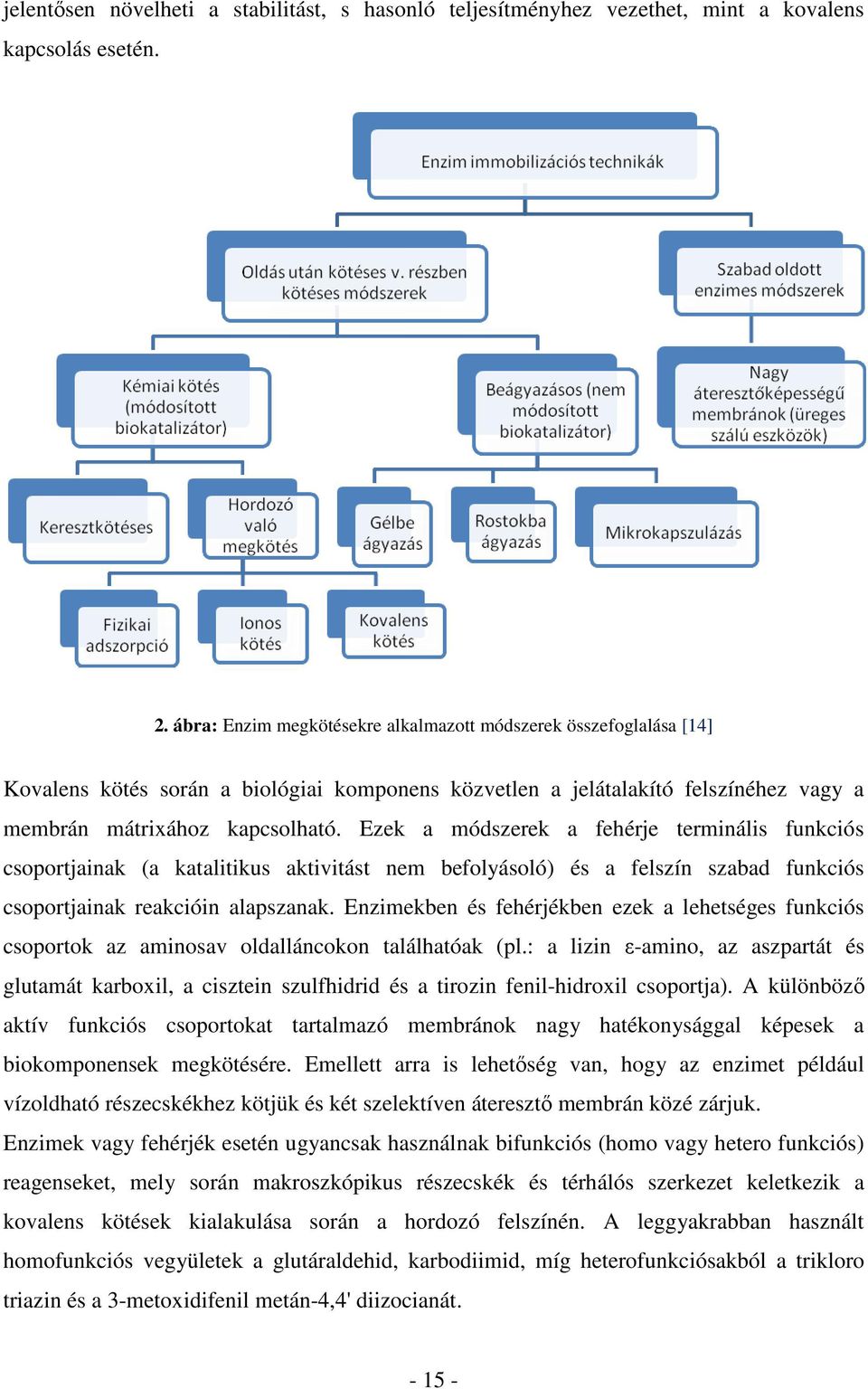 Ezek a módszerek a fehérje terminális funkciós csoportjainak (a katalitikus aktivitást nem befolyásoló) és a felszín szabad funkciós csoportjainak reakcióin alapszanak.