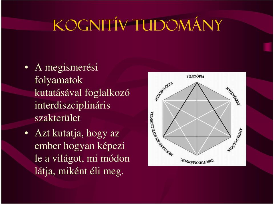 szakterület Azt kutatja, hogy az ember hogyan