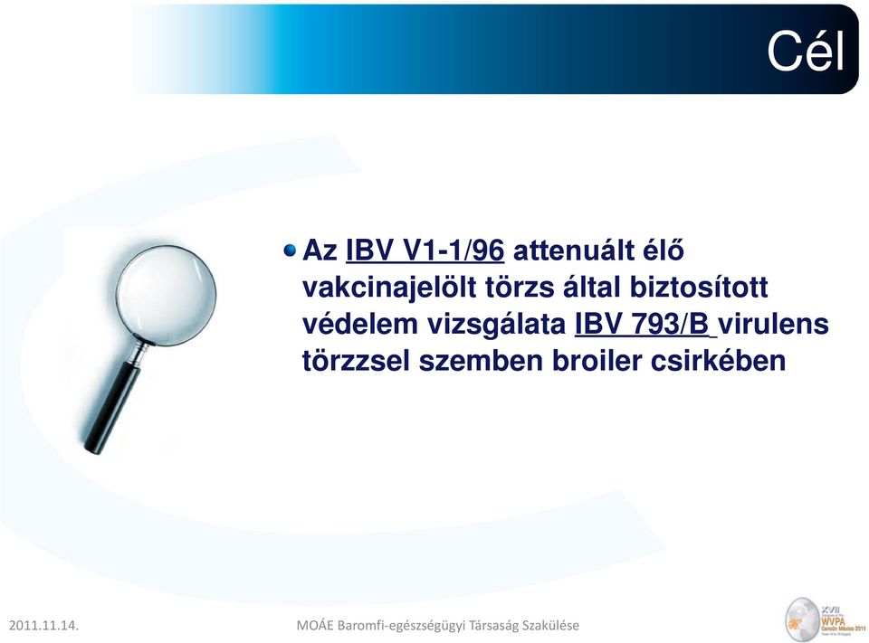 biztosított védelem vizsgálata IBV