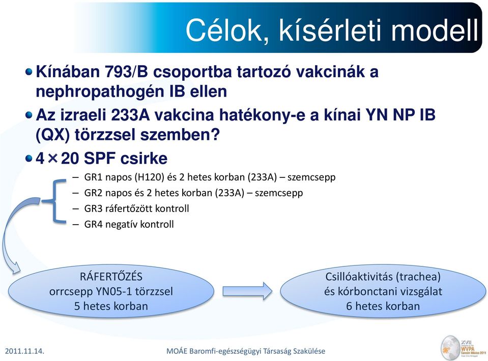 4 20 SPF csirke GR1 napos (H120) és 2 hetes korban (233A) szemcsepp GR2 napos és 2 hetes korban (233A)