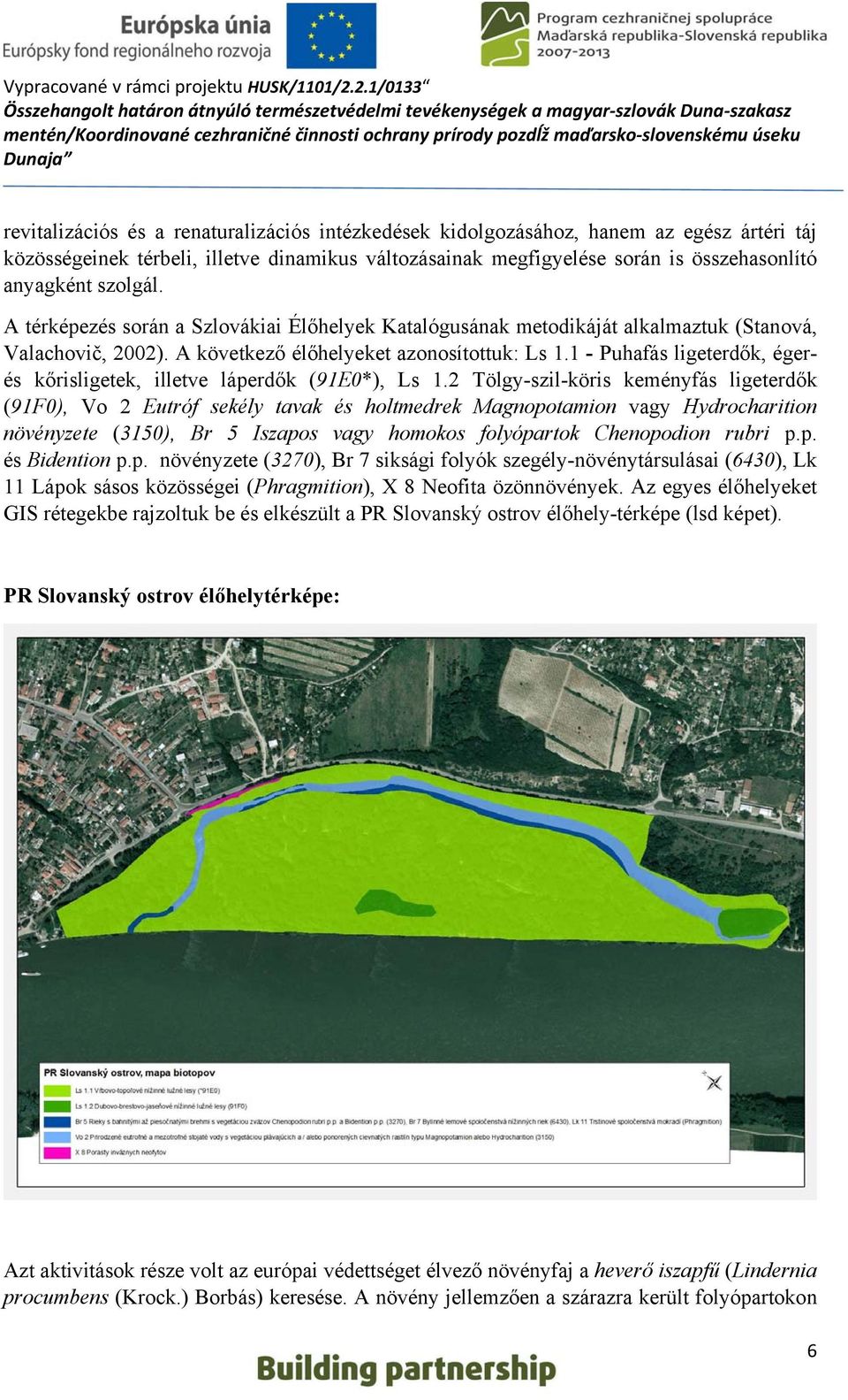 1 - Puhafás ligeterdők, égerés kőrisligetek, illetve láperdők (91E0*), Ls 1.