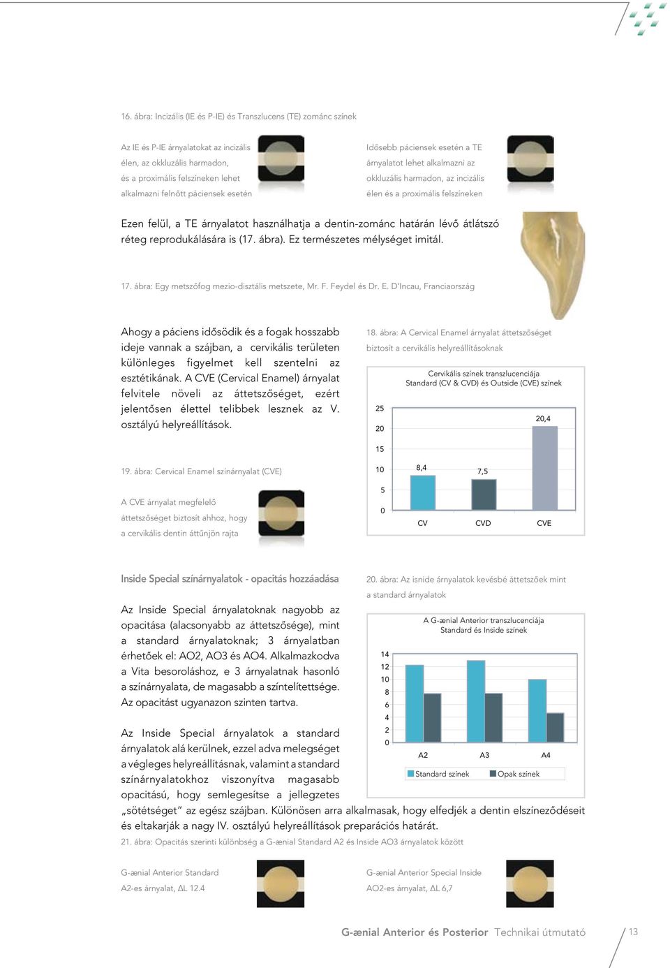 dentin-zománc határán lévô átlátszó réteg reprodukálására is (17. ábra). Ez