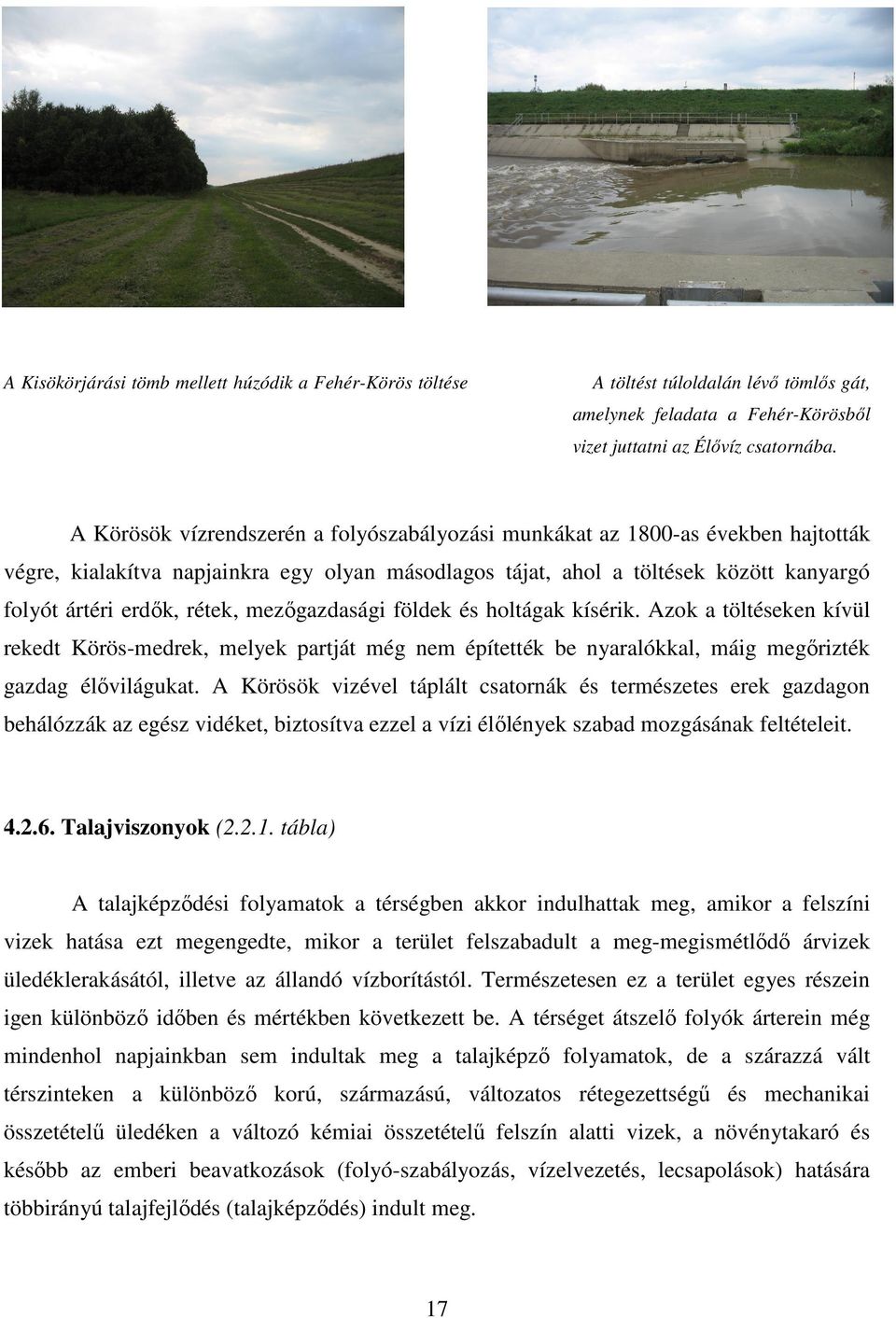 mezőgazdasági földek és holtágak kísérik. Azok a töltéseken kívül rekedt Körös-medrek, melyek partját még nem építették be nyaralókkal, máig megőrizték gazdag élővilágukat.