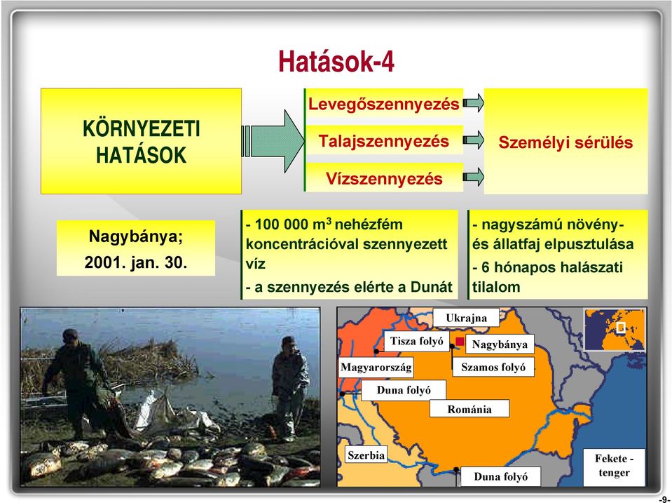 - 100 000 m 3 nehézfém koncentrációval szennyezett víz - a szennyezés elérte a Dunát - nagyszámú