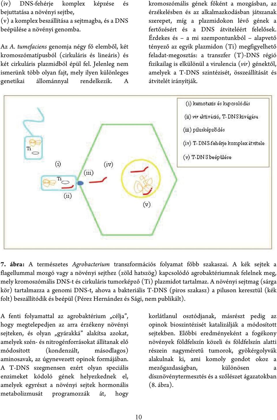 Jelenleg nem ismerünk több olyan fajt, mely ilyen különleges genetikai állománnyal rendelkezik.