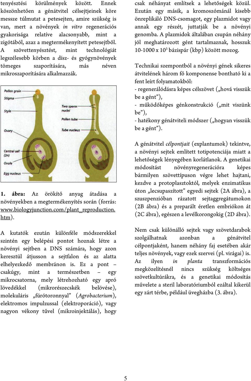 megtermékenyített petesejtből. A szövettenyésztést, mint technológiát legszélesebb körben a dísz- és gyógynövények tömeges szaporítására, más néven mikroszaporítására alkalmazzák. 1.