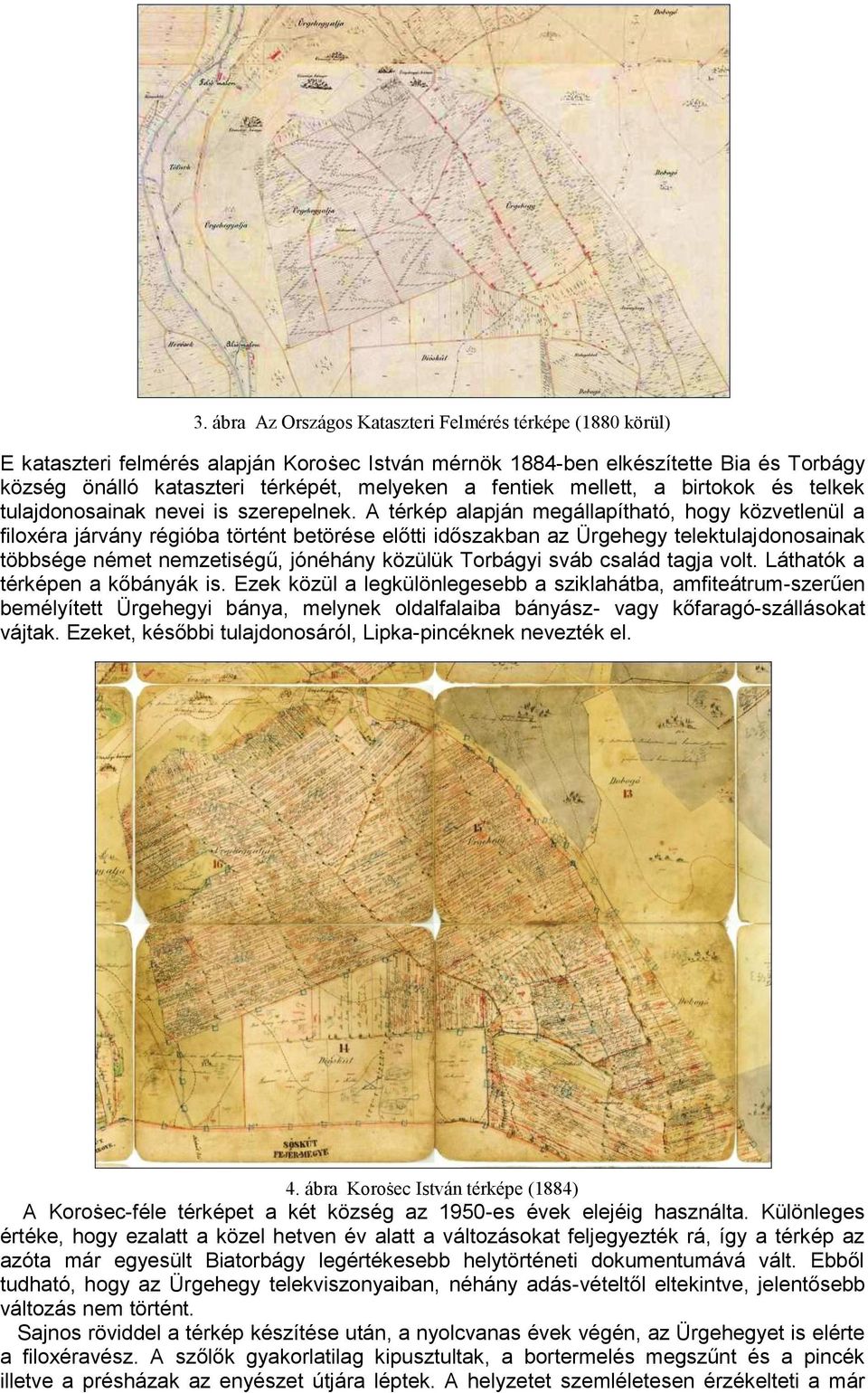 A térkép alapján megállapítható, hogy közvetlenül a filoxéra járvány régióba történt betörése előtti időszakban az Ürgehegy telektulajdonosainak többsége német nemzetiségű, jónéhány közülük Torbágyi