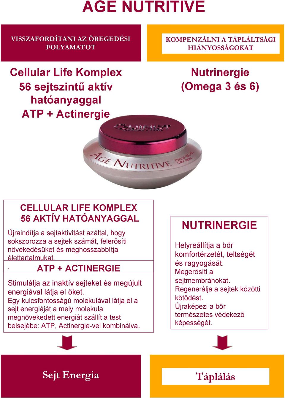 . ATP + ACTINERGIE Stimulálja az inaktív sejteket és megújult energiával látja el őket.