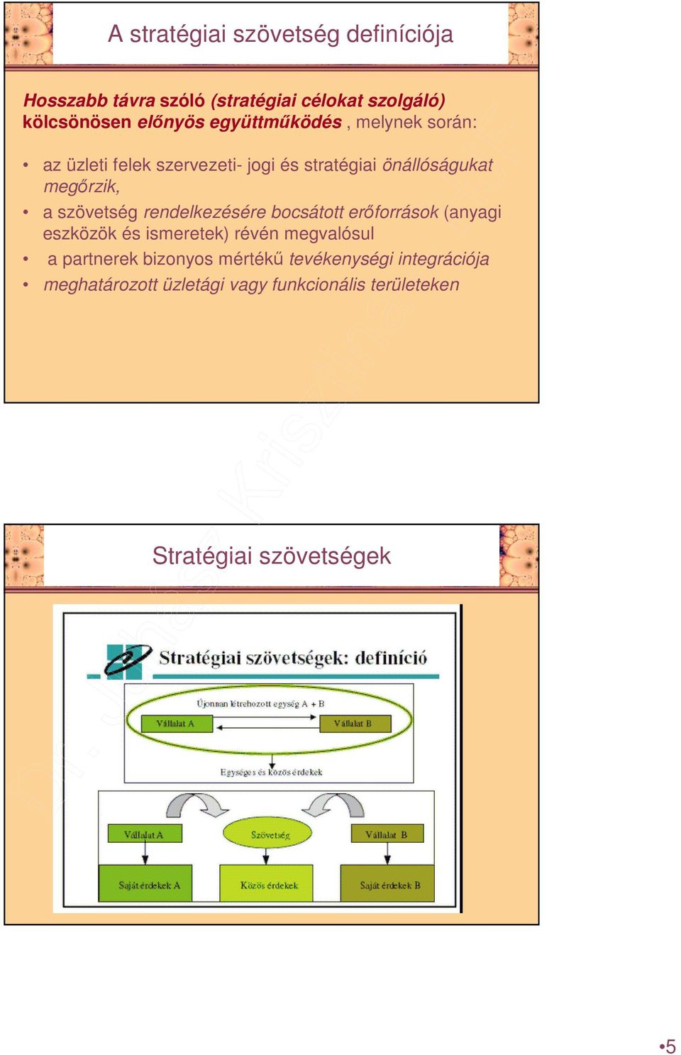 szövetség rendelkezésére bocsátott erıforrások (anyagi eszközök és ismeretek) révén megvalósul a partnerek