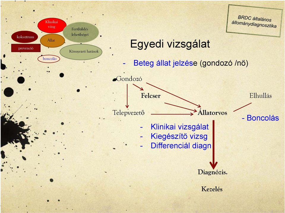 (gondozó /nő) Gondozó Telepvezető Felcser - Klinikai vizsgálat -