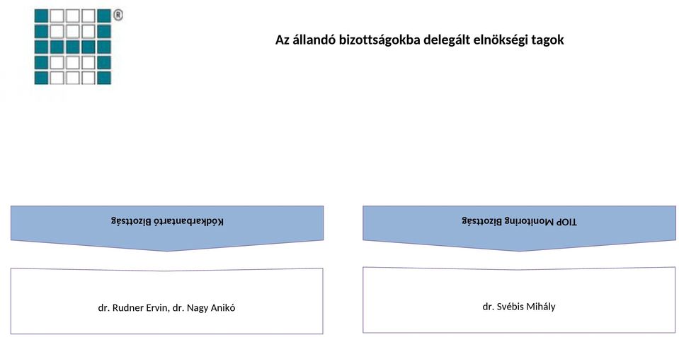 Bizottság Kódkarbantartó Bizottság dr.