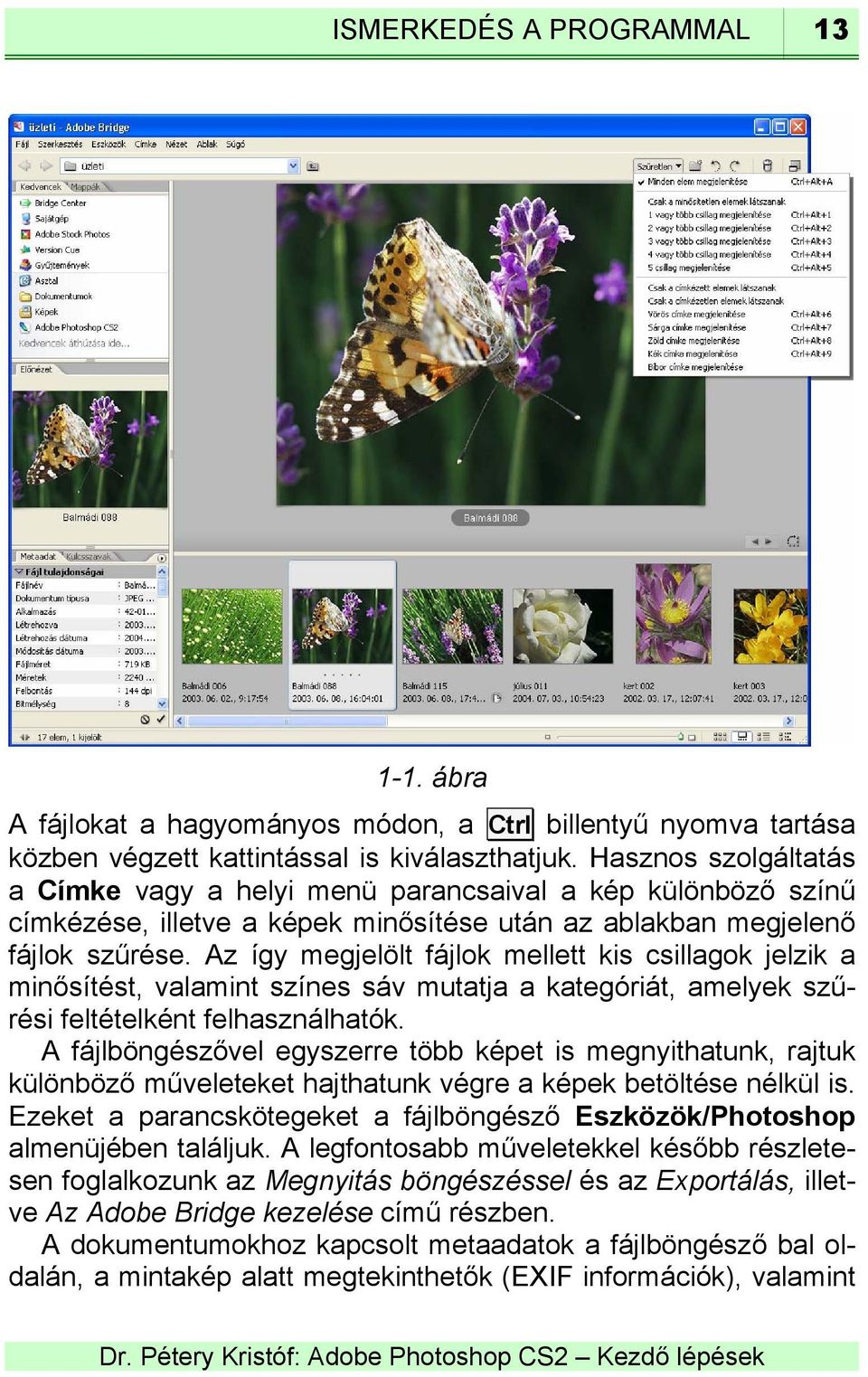 Az így megjelölt fájlok mellett kis csillagok jelzik a minősítést, valamint színes sáv mutatja a kategóriát, amelyek szűrési feltételként felhasználhatók.