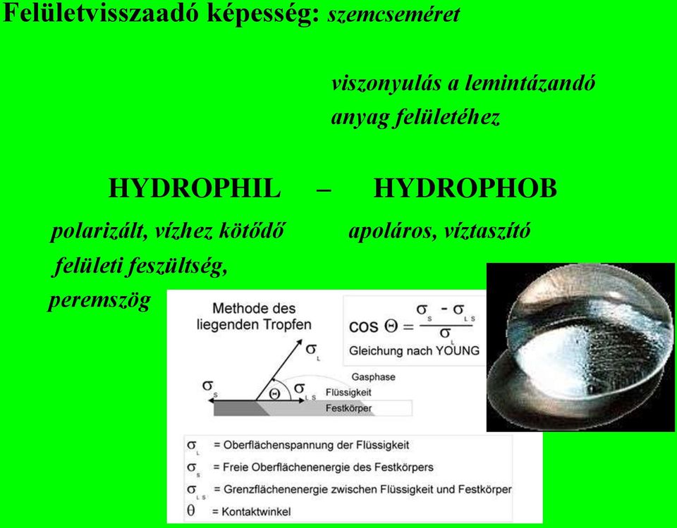 HYDROPHIL HYDROPHOB polarizált, vízhez kötődő