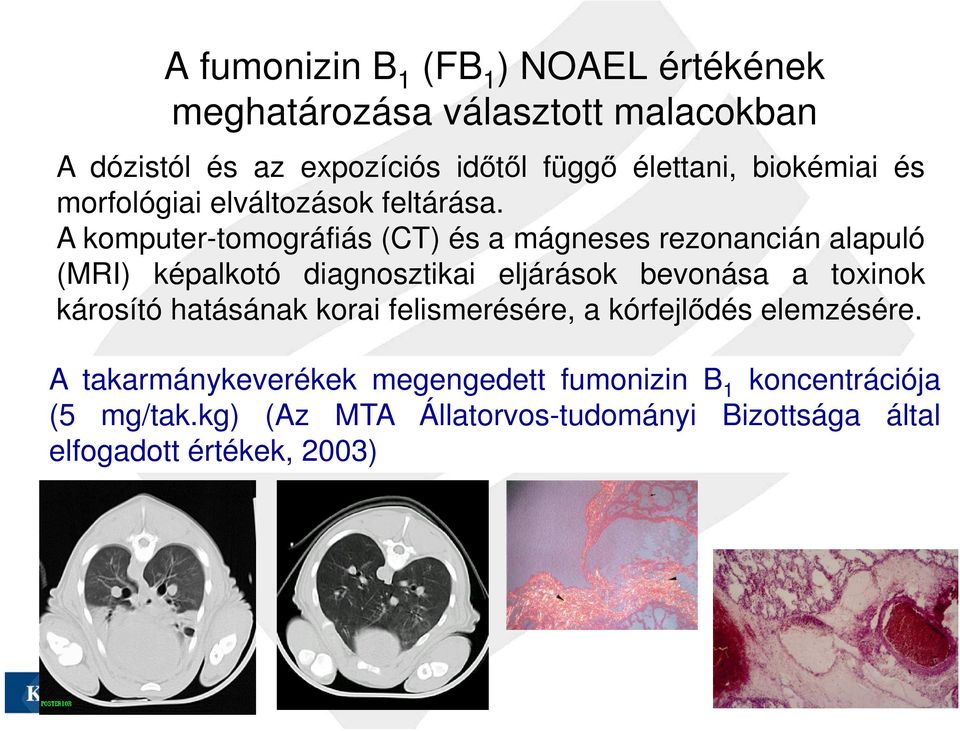 A komputer-tomográfiás (CT) és a mágneses rezonancián alapuló (MRI) képalkotó diagnosztikai eljárások bevonása a toxinok