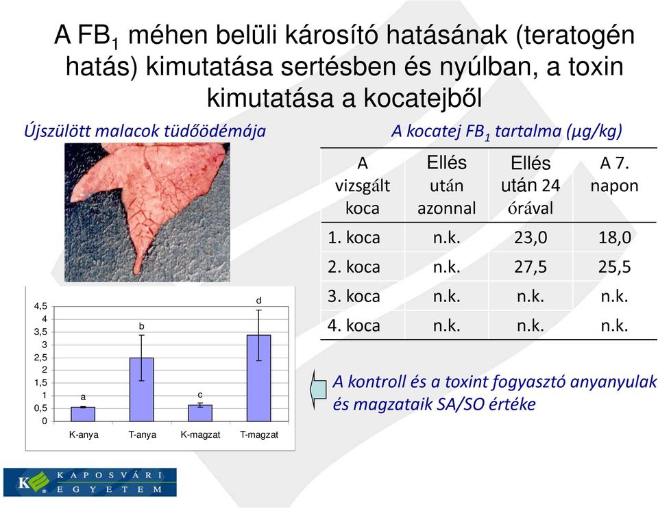 vizsgált koca A kocatej FB 1 tartalma (µg/kg) Ellés után azonnal Ellés után 24 órával A 7. napon 1. koca n.k. 23,0 18,0 2.