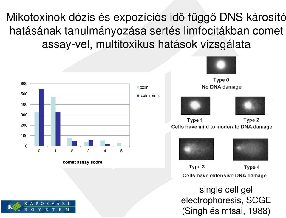 hatások vizsgálata 600 500 toxin toxin+preb.