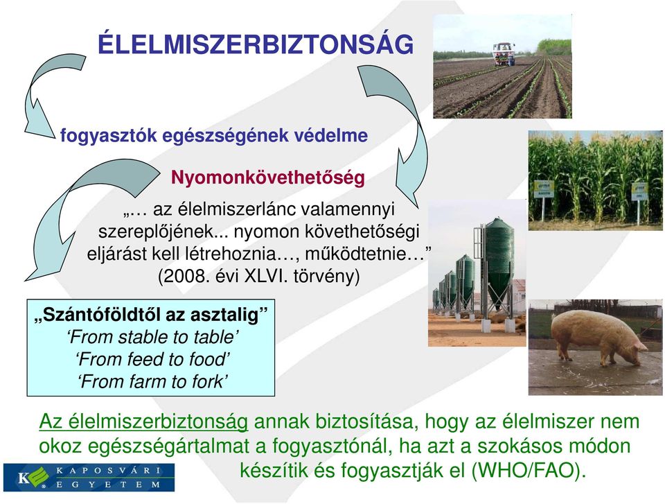 törvény) Szántóföldtől az asztalig From stable to table From feed to food From farm to fork Az