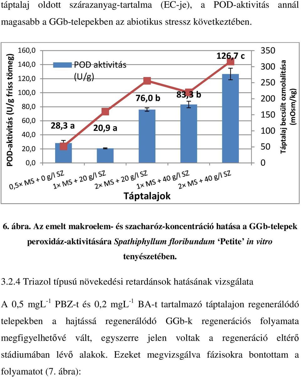 (mosm/kg) Táptalajok 6. ábra. Az emelt makroelem- és szacharóz-koncentráció hatása a GGb-telepek peroxidáz-aktivitására Spathiphyllum floribundum Petite in vitro tenyészetében. 3.2.