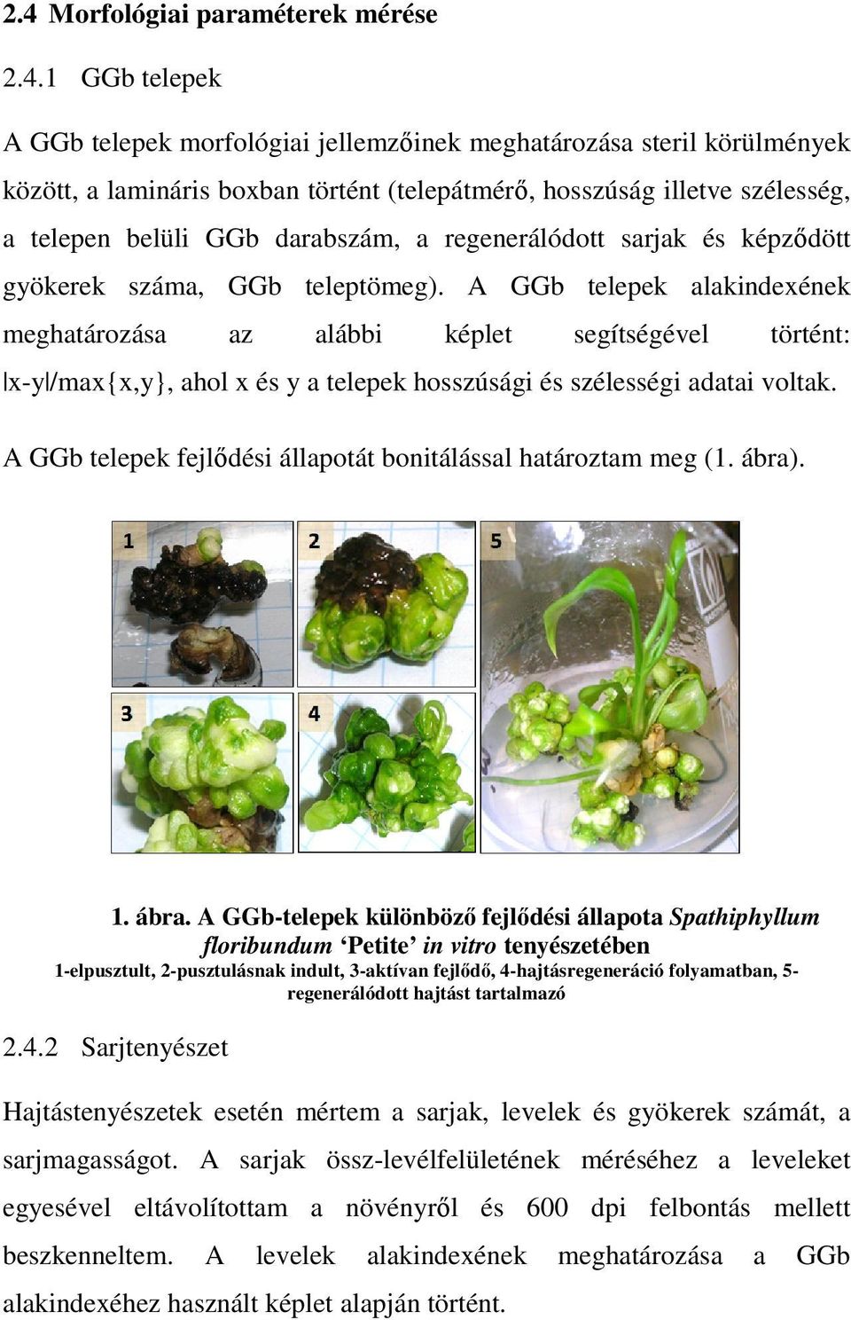 A GGb telepek alakindexének meghatározása az alábbi képlet segítségével történt: x-y /max{x,y}, ahol x és y a telepek hosszúsági és szélességi adatai voltak.