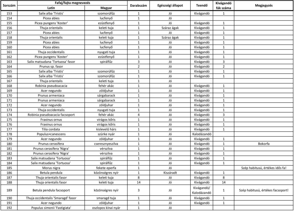 1 163 Salix matsudana 'Tortuosa' fasor spirálfűz 3 Jó 3 164 Prunus sp.