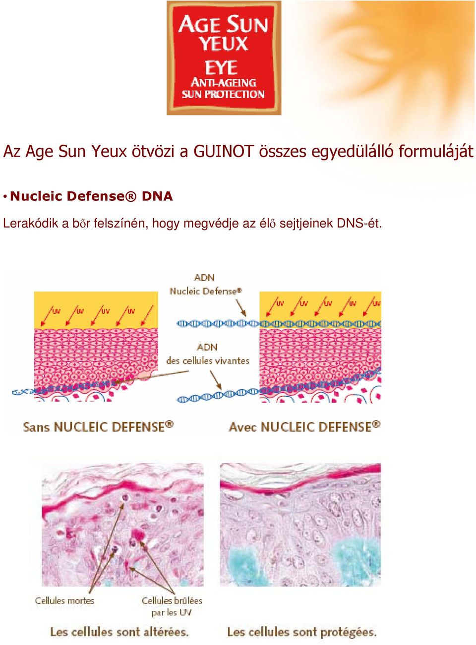 Nucleic Defense DNA Lerakódik a bőr