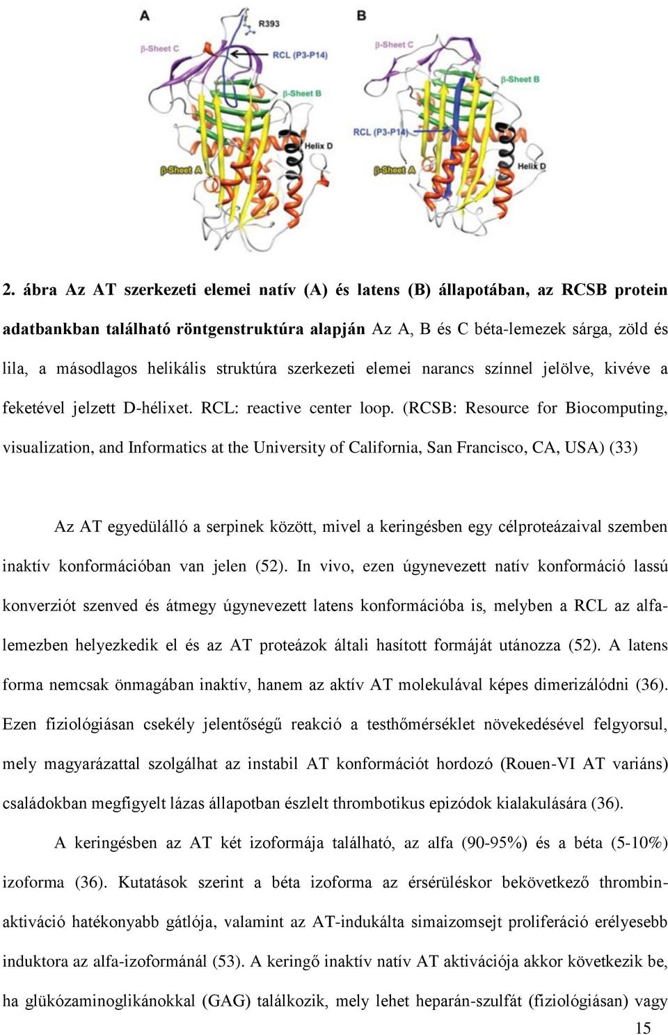 (RCSB: Resource for Biocomputing, visualization, and Informatics at the University of California, San Francisco, CA, USA) (33) Az AT egyedülálló a serpinek között, mivel a keringésben egy