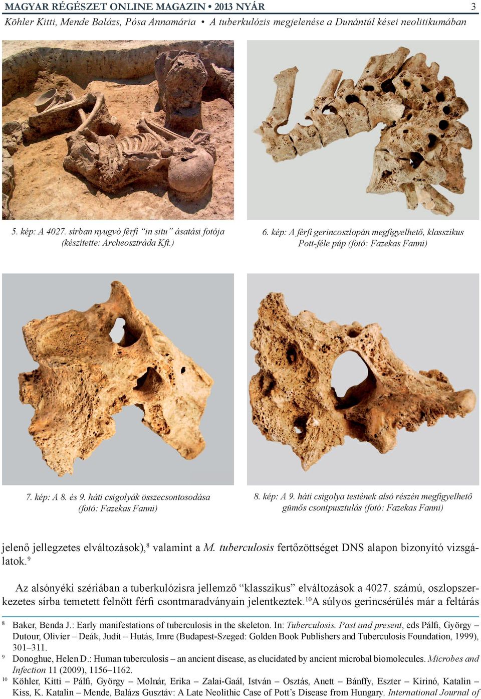 háti csigolya testének alsó részén megfigyelhető gümős csontpusztulás (fotó: Fazekas Fanni) jelenő jellegzetes elváltozások), 8 valamint a M.