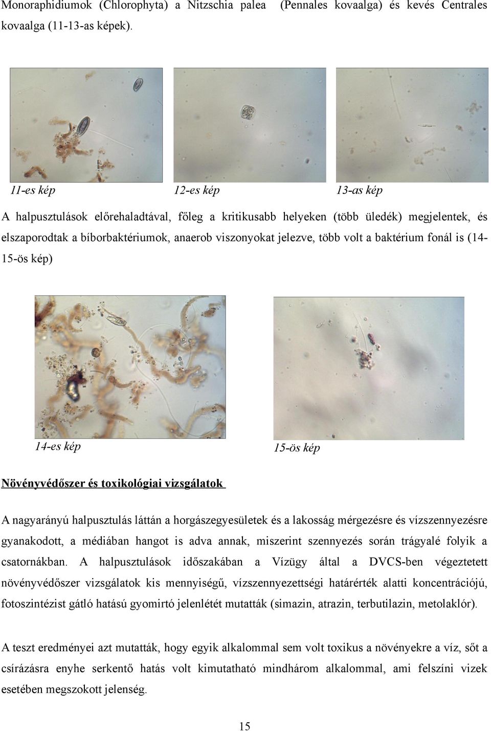 baktérium fonál is (1415-ös kép) 14-es kép 15-ös kép Növényvédőszer és toxikológiai vizsgálatok A nagyarányú halpusztulás láttán a horgászegyesületek és a lakosság mérgezésre és vízszennyezésre