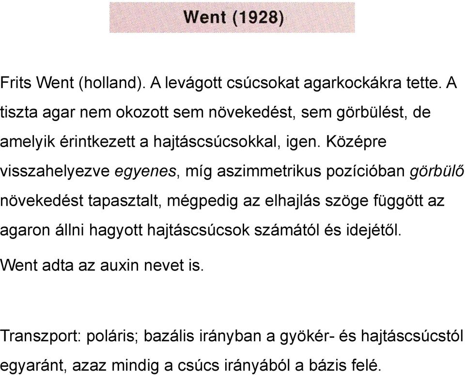 Középre visszahelyezve egyenes, míg aszimmetrikus pozícióban görbülő növekedést tapasztalt, mégpedig az elhajlás szöge