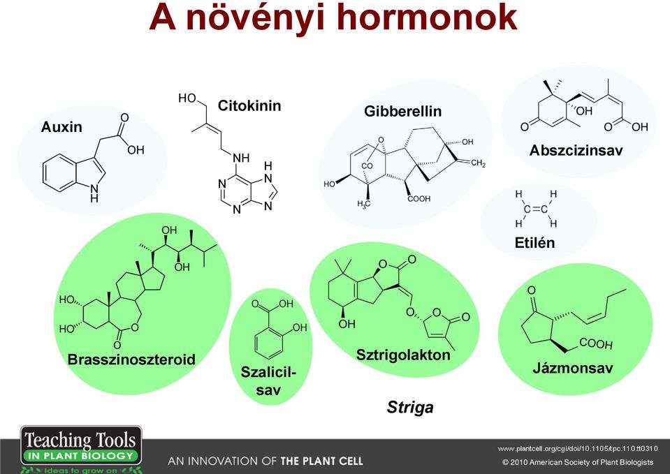 Abszcizinsav Etilén