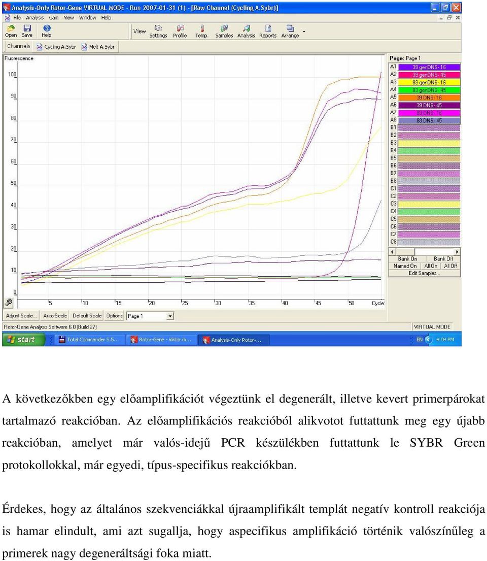 SYBR Green protokollokkal, már egyedi, típus-specifikus reakciókban.