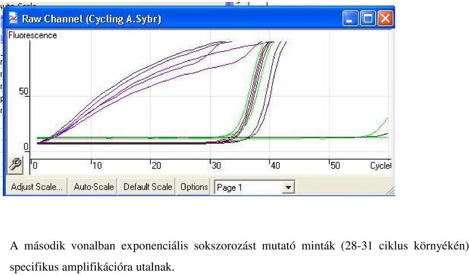 mutató minták (28-31 ciklus