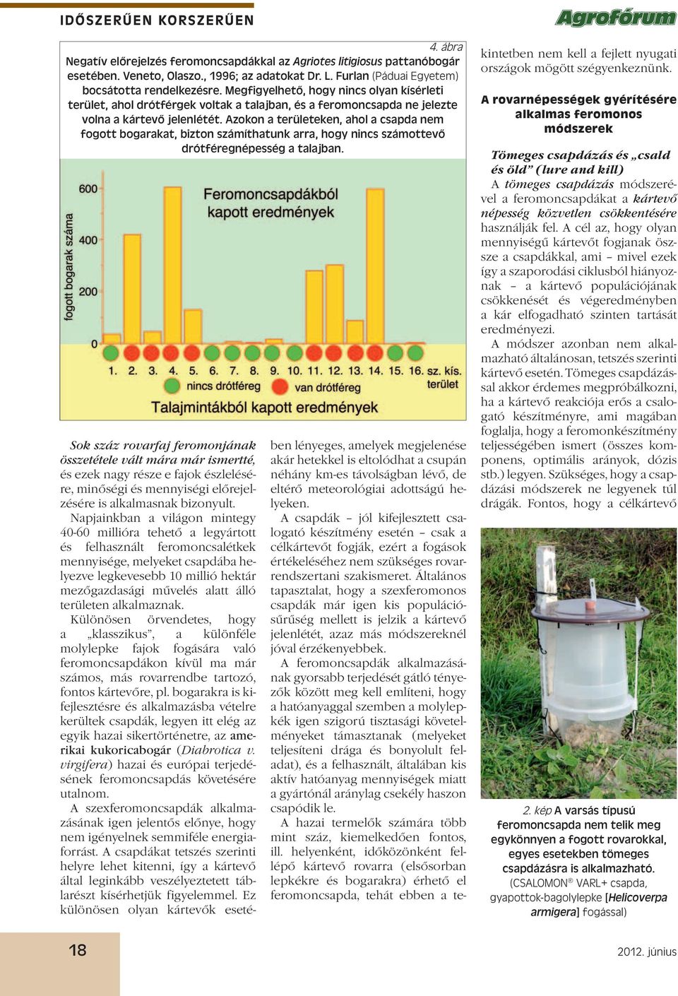 Azokon a területeken, ahol a csapda nem fogott bogarakat, bizton számíthatunk arra, hogy nincs számottevő drótféregnépesség a talajban.