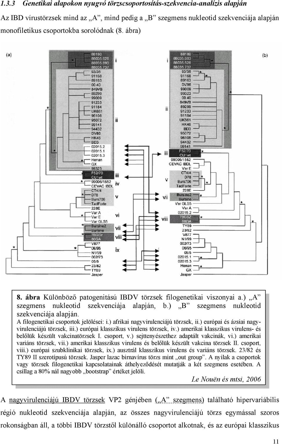 A filogenetikai csoportok jelölései: i.) afrikai nagyvirulenciájú törzsek, ii.) európai és ázsiai nagyvirulenciájú törzsek, iii.) európai klasszikus virulens törzsek, iv.