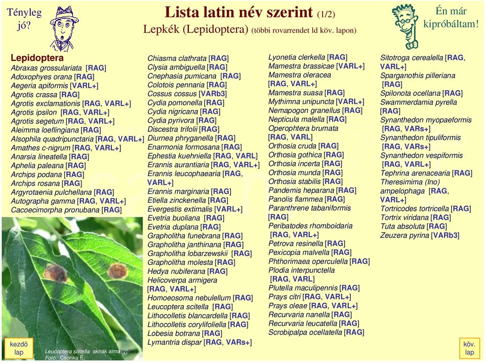 VARL+] Aleimma loeflingiana [RAG] Alsophila quadripunctaria [RAG, VARL+] Amathes c-nigrum [RAG, VARL+] Anarsia lineatella [RAG] Aphelia paleana [RAG] Archips podana [RAG] Archips rosana [RAG]