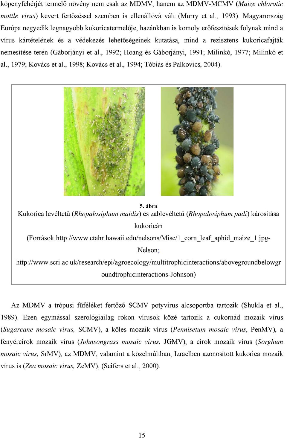 nemesítése terén (Gáborjányi et al., 1992; Hoang és Gáborjányi, 1991; Milinkó, 1977; Milinkó et al., 1979; Kovács et al., 1998; Kovács et al., 1994; Tóbiás és Palkovics, 2004). 5.