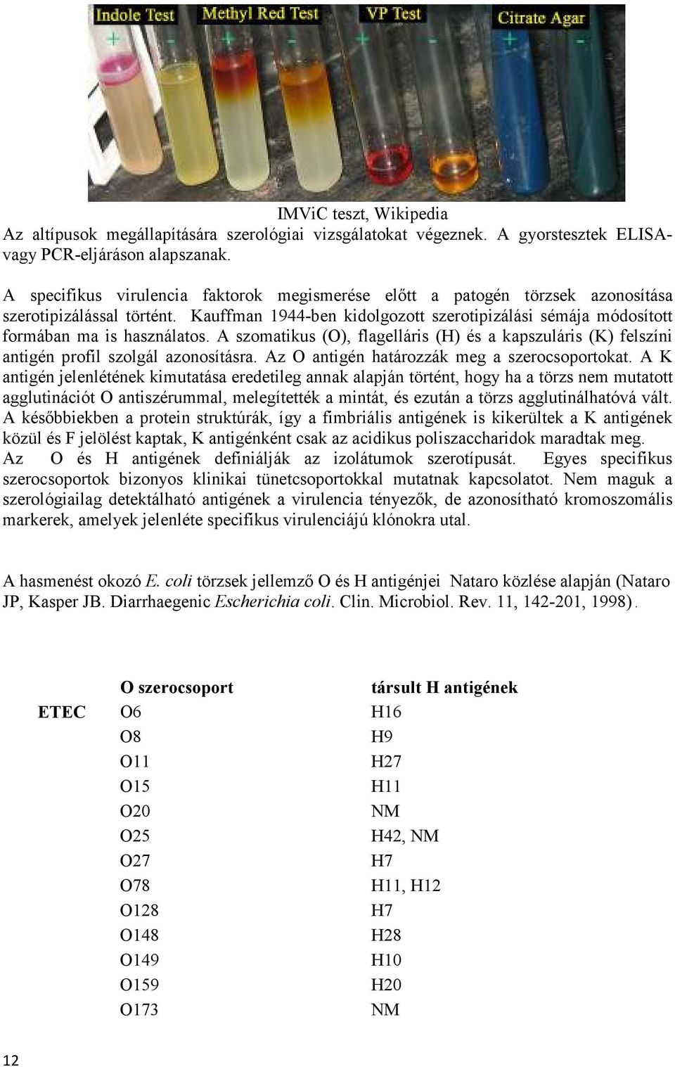 A szomatikus (O), flagelláris (H) és a kapszuláris (K) felszíni antigén profil szolgál azonosításra. Az O antigén határozzák meg a szerocsoportokat.