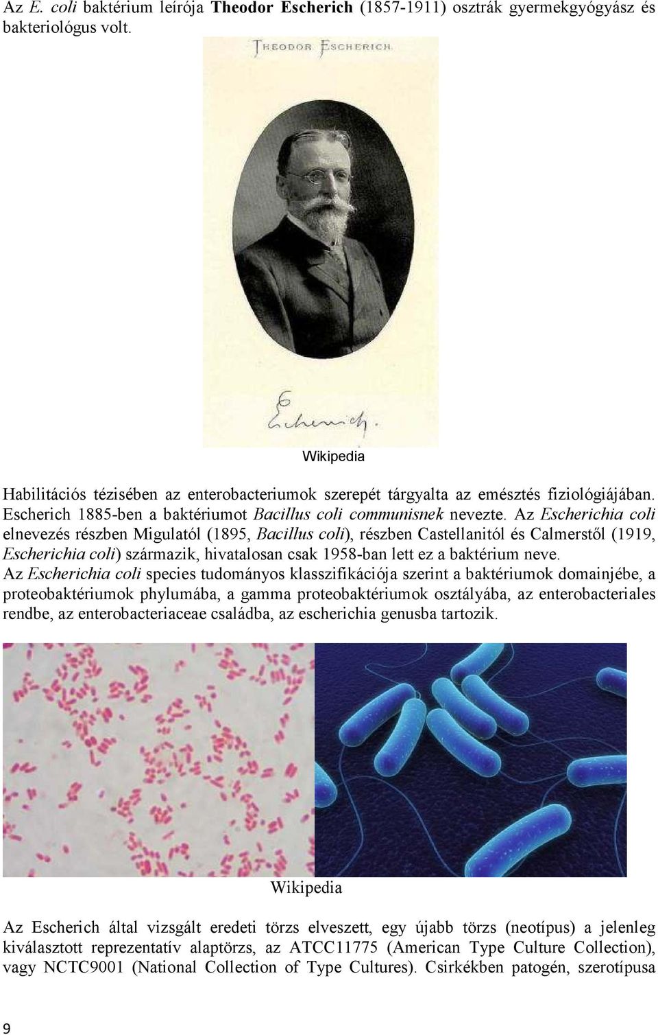 Az Escherichia coli elnevezés részben Migulatól (1895, Bacillus coli), részben Castellanitól és Calmerstől (1919, Escherichia coli) származik, hivatalosan csak 1958-ban lett ez a baktérium neve.