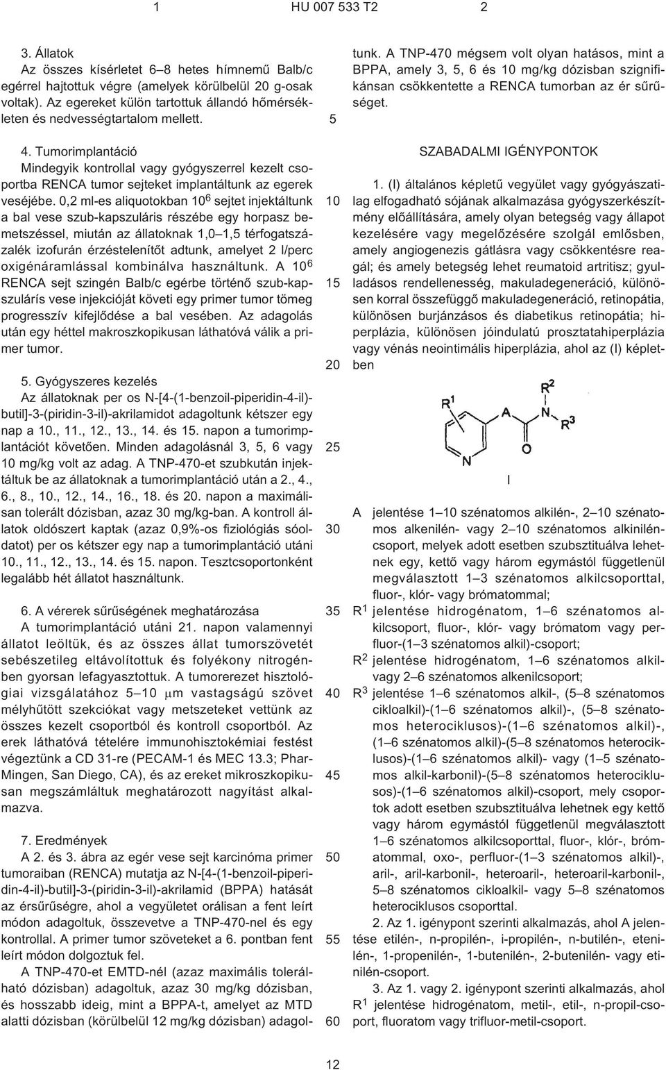 Tumorimplantáció Mindegyik kontrollal vagy gyógyszerrel kezelt csoportba RENCA tumor sejteket implantáltunk az egerek veséjébe.