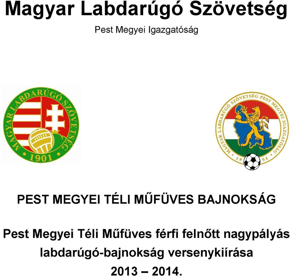 BAJNOKSÁG Pest Megyei Téli Műfüves férfi