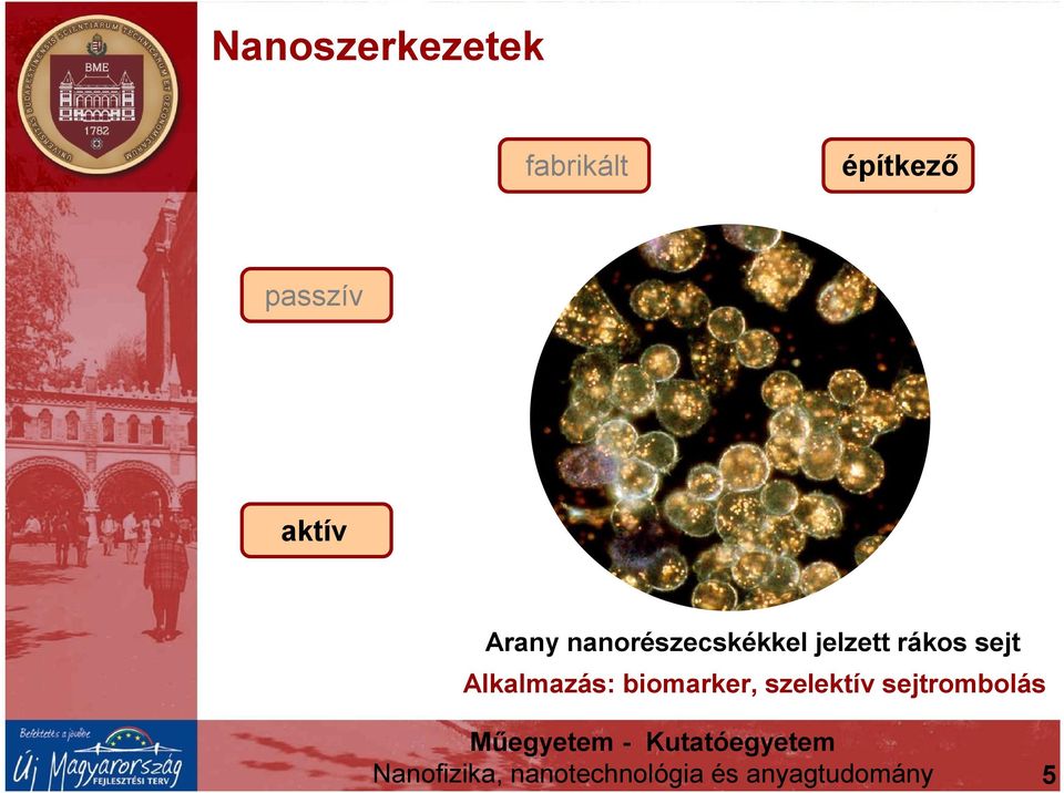 sejt Alkalmazás: biomarker, szelektív