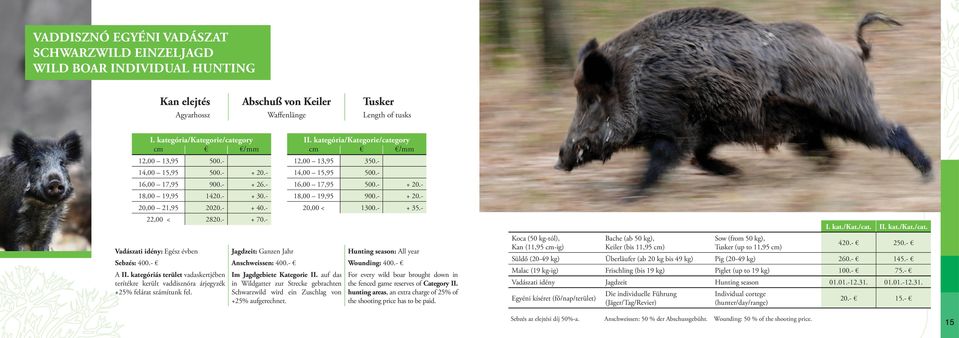 - Vadászati idény: Egész évben Jagdzeit: Ganzen Jahr Hunting season: All year Sebzés: 400.- Anschweissen: 400.- Wounding: 400.- A II.