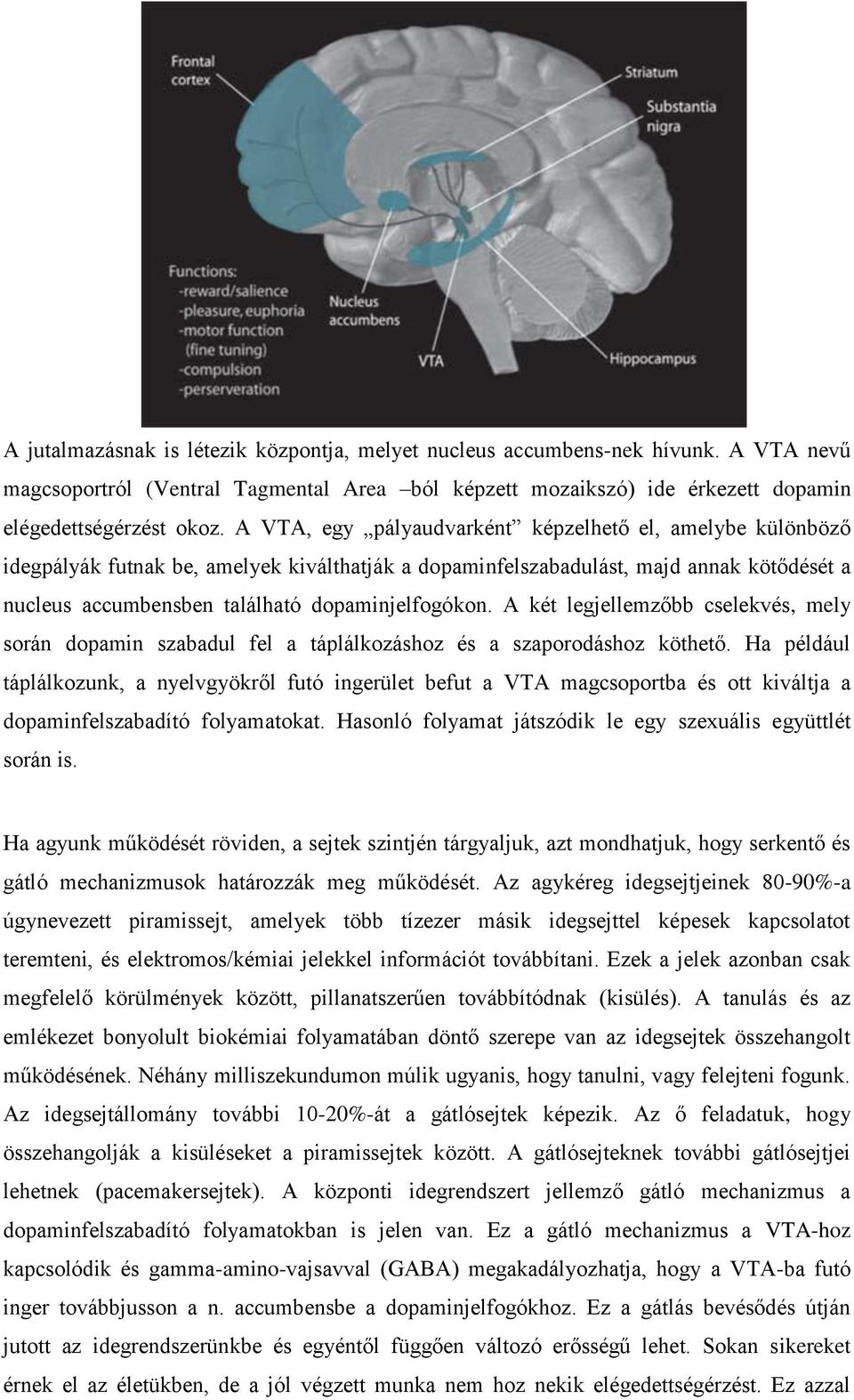 A két legjellemzőbb cselekvés, mely során dopamin szabadul fel a táplálkozáshoz és a szaporodáshoz köthető.