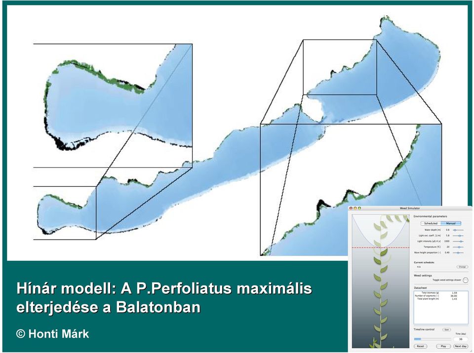 maximális