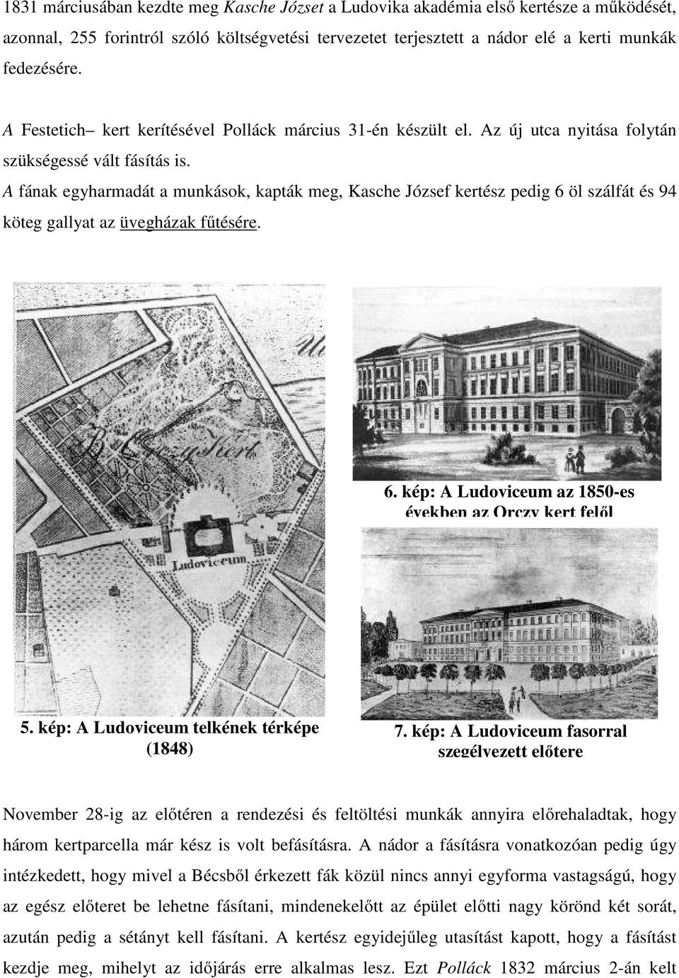 A fának egyharmadát a munkások, kapták meg, Kasche József kertész pedig 6 öl szálfát és 94 köteg gallyat az üvegházak fűtésére. 6. kép: A Ludoviceum az 1850-es években az Orczy kert felől 5.