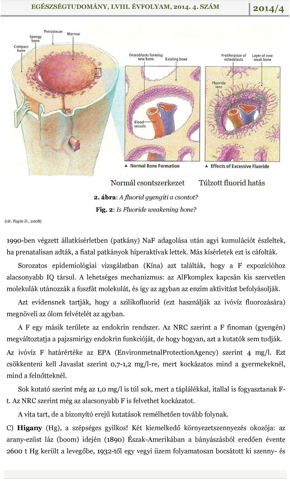 Sorozatos epidemiológiai vizsgálatban (Kína) azt találták, hogy a F expozícióhoz alacsonyabb IQ társul.