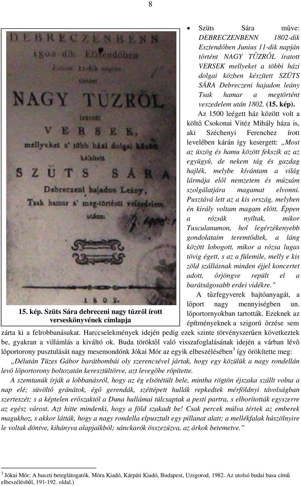 Az 1500 leégett ház között volt a költő Csokonai Vitéz Mihály háza is, aki Széchenyi Ferenchez írott levelében kárán így kesergett: Most az üszög és hamu között fekszik az az együgyű, de nekem tág és