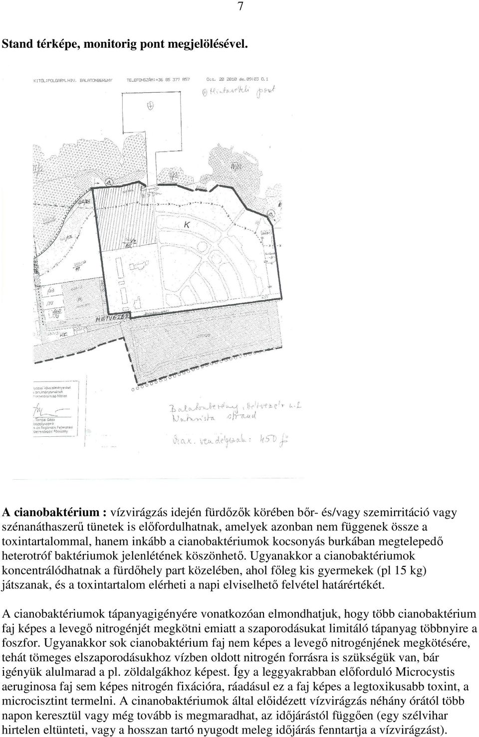 a cianobaktériumok kocsonyás burkában megtelepedı heterotróf baktériumok jelenlétének köszönhetı.